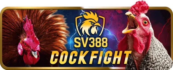 Hoàn trả cao hơn cho thành viên VIP k8vn